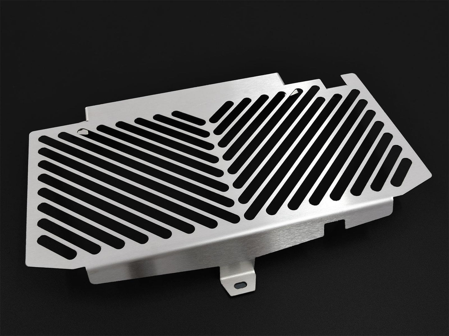 ZIEGER Kühlerabdeckung passend für BMW F 650 GS Twin 2008-2012