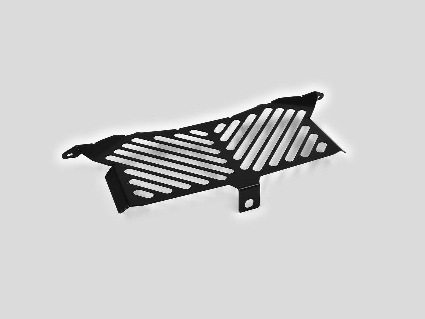 ZIEGER Öl-Kühlerabdeckung passend für BMW S 1000 XR 2015-2019 - Kama Bike Parts