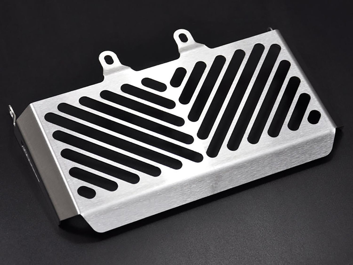 ZIEGER Öl-Kühlerabdeckung passend für BMW R nineT Scrambler 2016-2023 - Kama Bike Parts