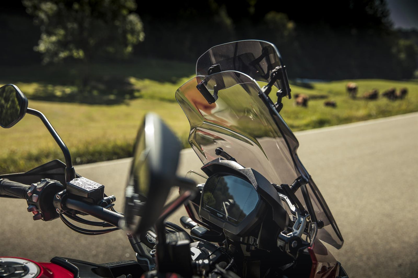 MRA Vario Tourenscheibe grau passend für Triumph TIGER 1200 /XC /XR 2016-2021