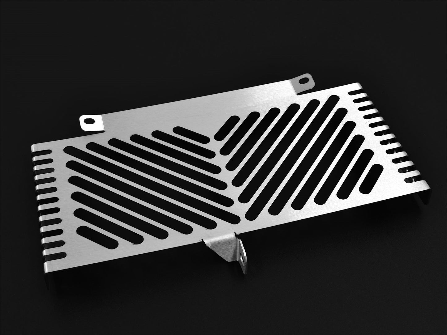 ZIEGER Öl-Kühlerabdeckung passend für Suzuki GSX 1300 B-King 2007-2012 - Kama Bike Parts