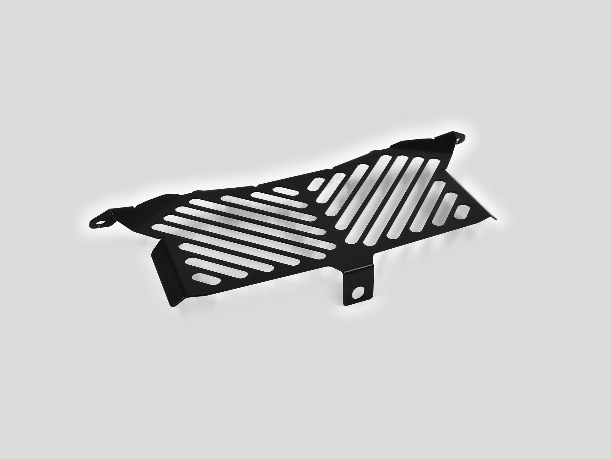 ZIEGER Öl-Kühlerabdeckung passend für BMW S 1000 XR 2015-2019 - Kama Bike Parts