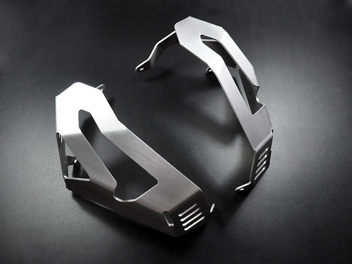 ZIEGER Zylinderschutz passend für BMW R 1100 GS 1994-1999 - Kama Bike Parts
