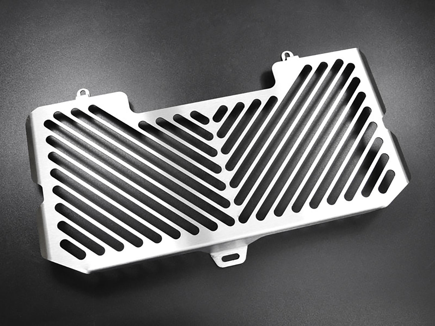 ZIEGER Kühlerabdeckung passend für BMW F 800 S / R 2015-2020 - Kama Bike Parts