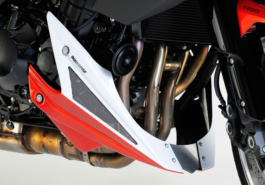 BODYSTYLE Bugspoiler passend für Kawasaki Z 1000 2010-2013 - Kama Bike Parts