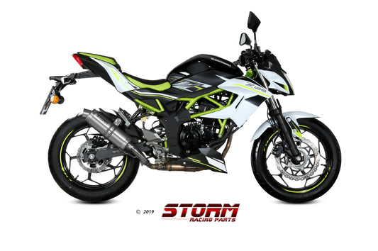 STORM GP Auspuff passend für KAWASAKI Z 125 2019-2024