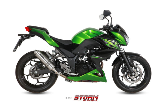 STORM GP Auspuff passend für KAWASAKI Z300 2015-2016