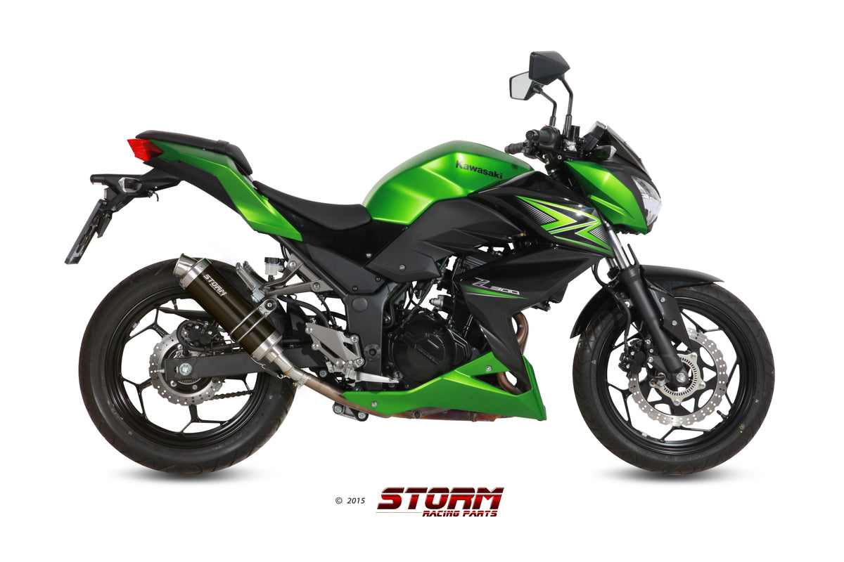 STORM GP Auspuff schwarz passend für KAWASAKI Z300 2015-2016