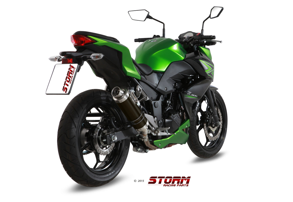 STORM GP Auspuff schwarz passend für KAWASAKI Z300 2015-2016
