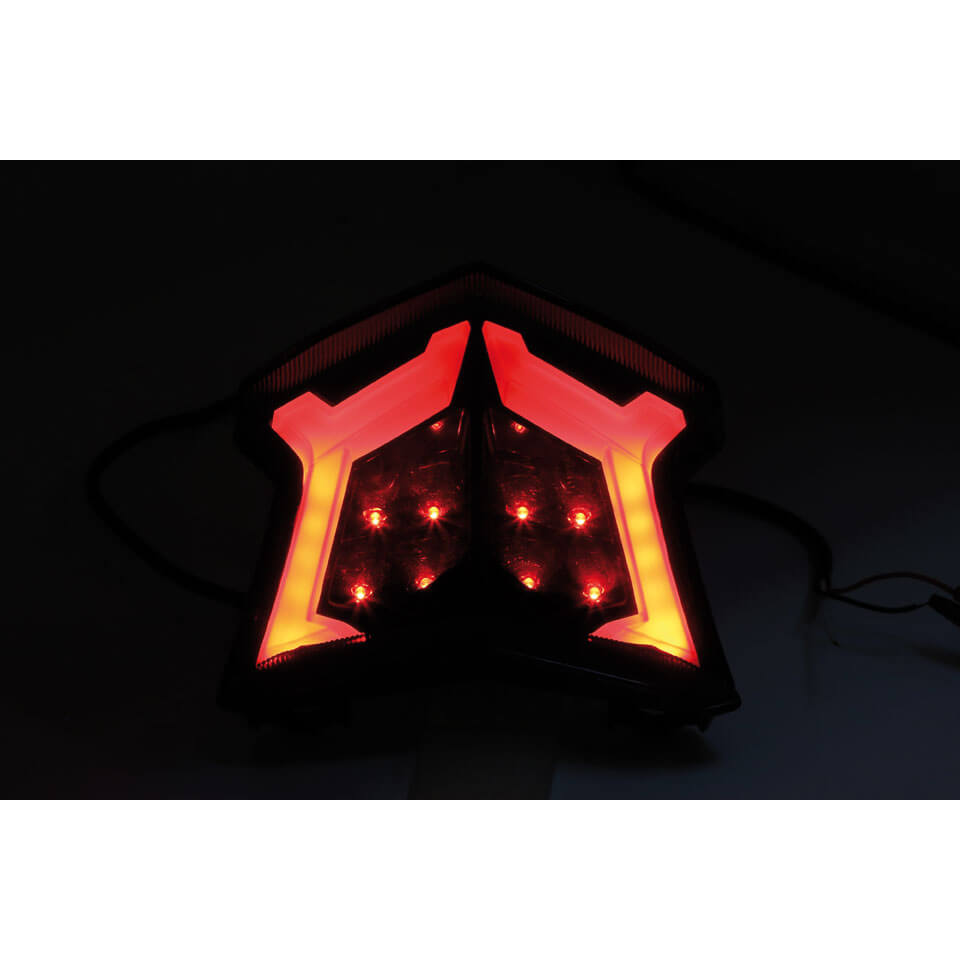 SHIN YO LED Rücklicht passend für Kawasaki Z 900 Z Ninja 650 650 Bj. 2017- - Kama Bike Parts