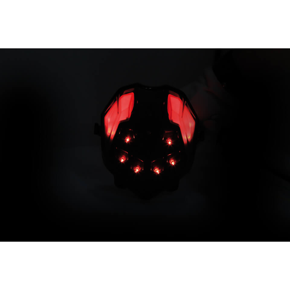 SHIN YO LED Rücklicht passend für Triumph STREET TRIPLE/R DAYTONA 675/R - Kama Bike Parts