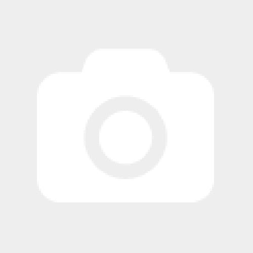 Bremsflüssigkeitsbehälter-Schutz Silbern passend für Honda CRF 1000 L Africa Twin 2015-2017 - Kama Bike Parts