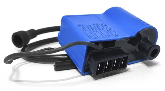 CDI Zündeinheit passend für PIAGGIO ZIP 50 2T 1992-2002 - Kama Bike Parts