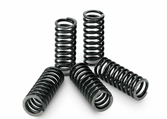 Kupplungsfedern Satz passend für SUZUKI DR 250 1982-1987 - Kama Bike Parts