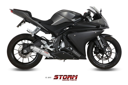 STORM GP Auspuff Komplettanlage passend für YAMAHA YZF-R125 2014-2018