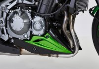 BODYSTYLE Bugspoiler passend für Kawasaki Z 900 (70 kW) 2020-2020
