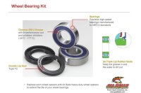 ALL BALLS Wheel bearing kit 25-1029