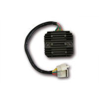 ElectroSport Charge controller ESR 672