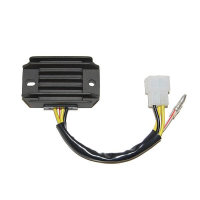 ElectroSport Charge controller ESR 600