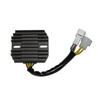 ElectroSport Charge controller ESR 121